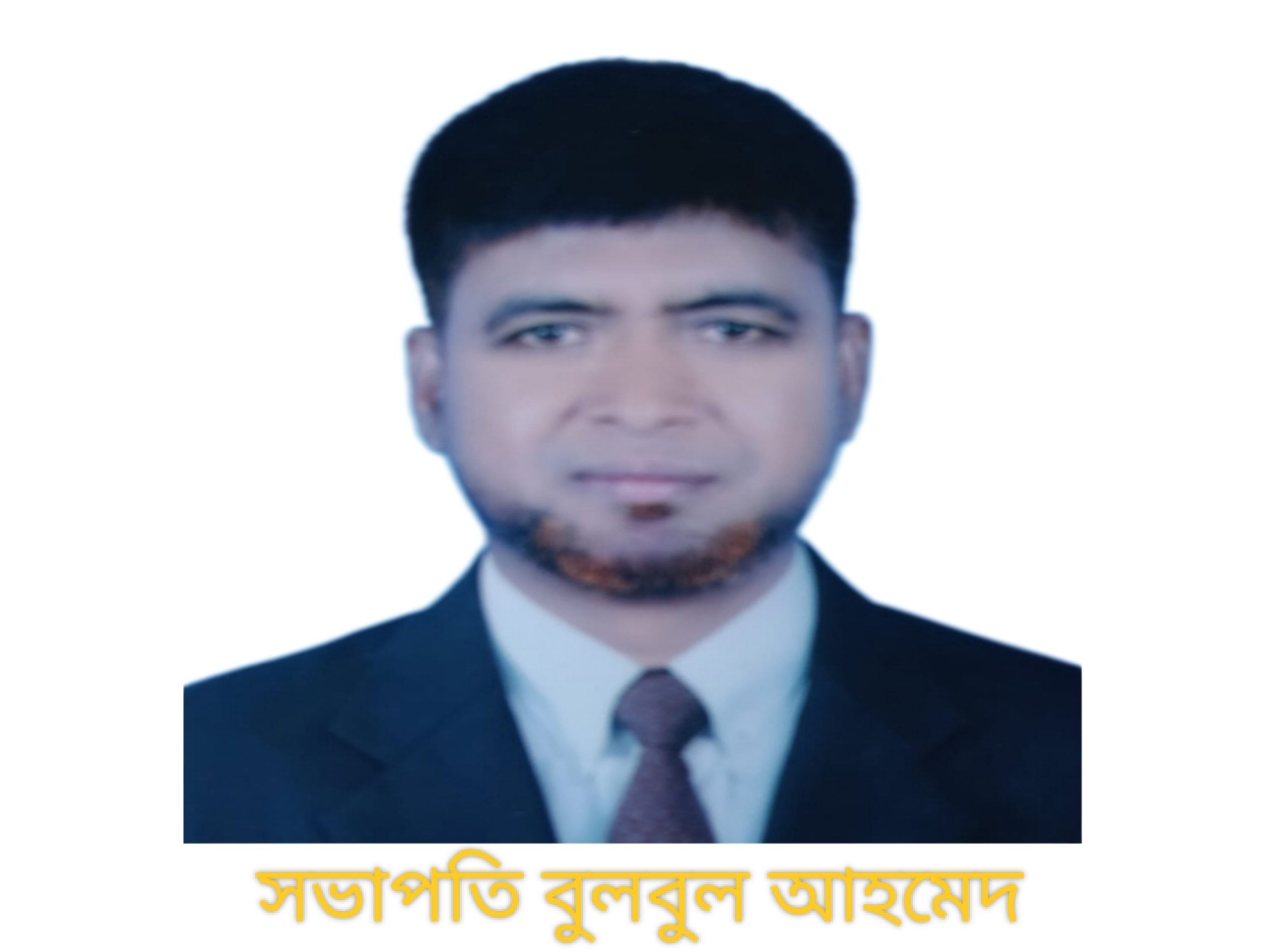 মৈশাখালী সরকারী প্রাথমিক বিদ্যালয়ের সভাপতি হলেন বুলবুল আহমেদ
